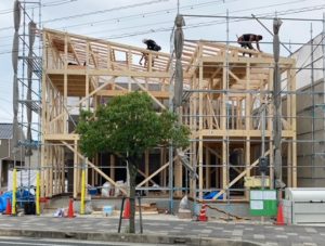 C26FF957-86D1-4A2E-B9F7-04FA2657391E